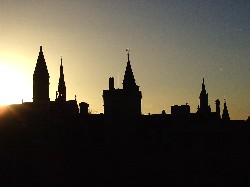 This is the view from my window in the morning. Be jealous.