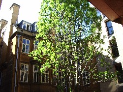 Even Balliol's Snell Bridge, AKA the Ghetto, looks nice when it's sunny.