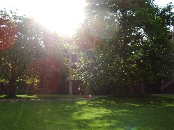 Exams are over!! It is summer!!!
