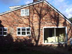 Trees make interesting shadow on the back of my house. Also featured in this picture is my cat, and a bonsai tree that I never water.