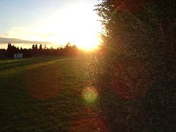Another unsubstantiated sighting of the sun.