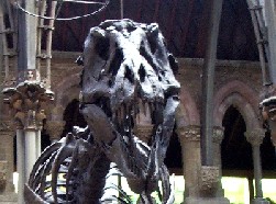 Raaaarrrggh!!!!